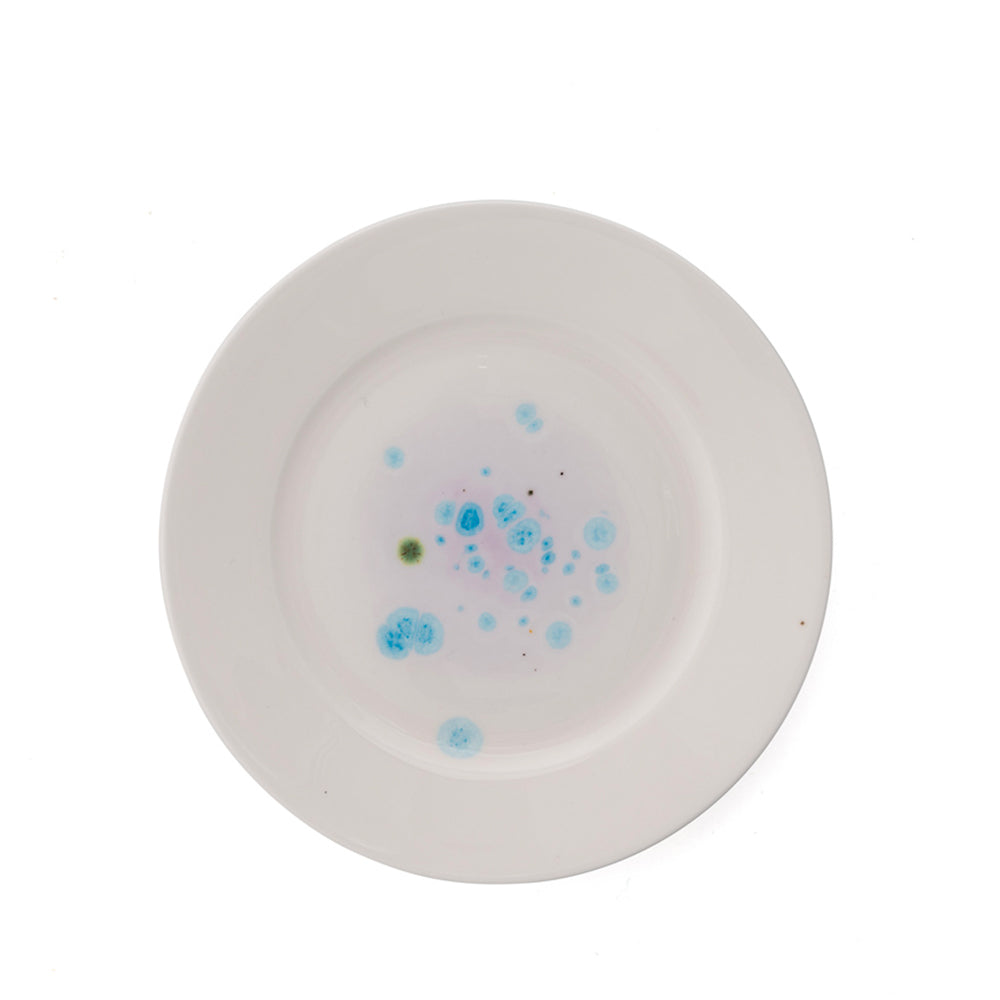 Blue - spotted circular plate