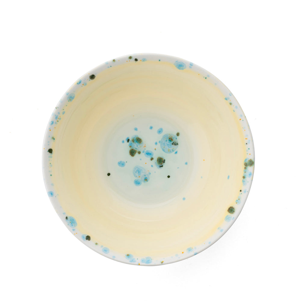 Splatter-glazed shallow bowl