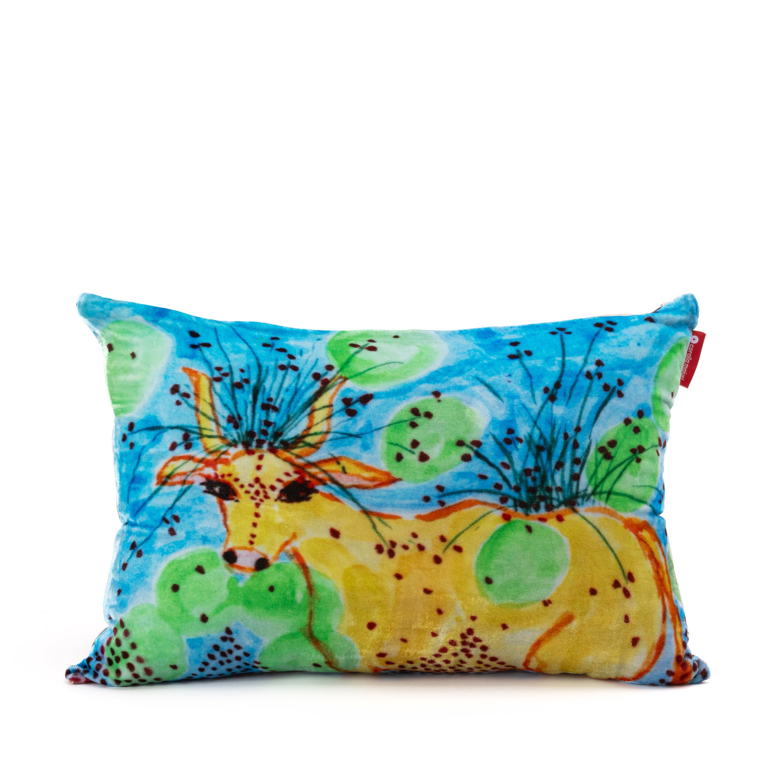 Decorative Throw Pillow
